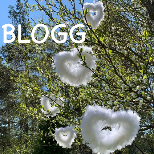 Presentproffsens blogg