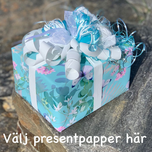 Gratis presentinslagning